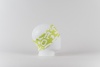 Повязка NORDSKI LOGO Lime