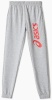 Брюки ASICS BIG LOGO SWEAT PANT, детские, серый