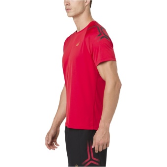 Футболка ASICS ICON SS TOP, красный 